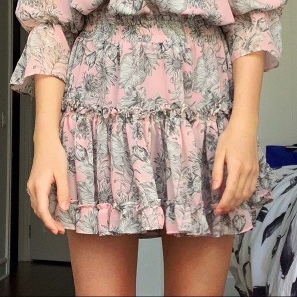 Misa Los Angeles Dresses & Skirts - Misa skirt and top set, blush floral with gray